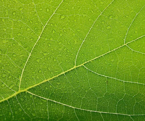 Imaginer la transition énergétique