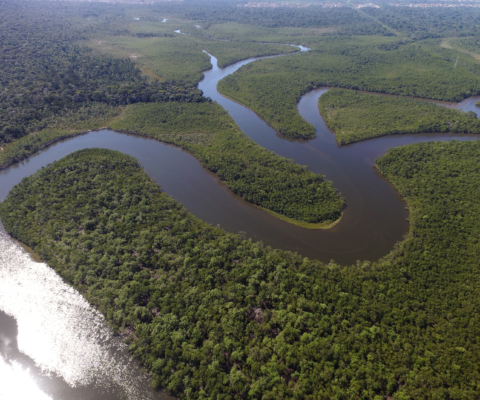 Avenir commun durable deuxième année : découvrez le programme !