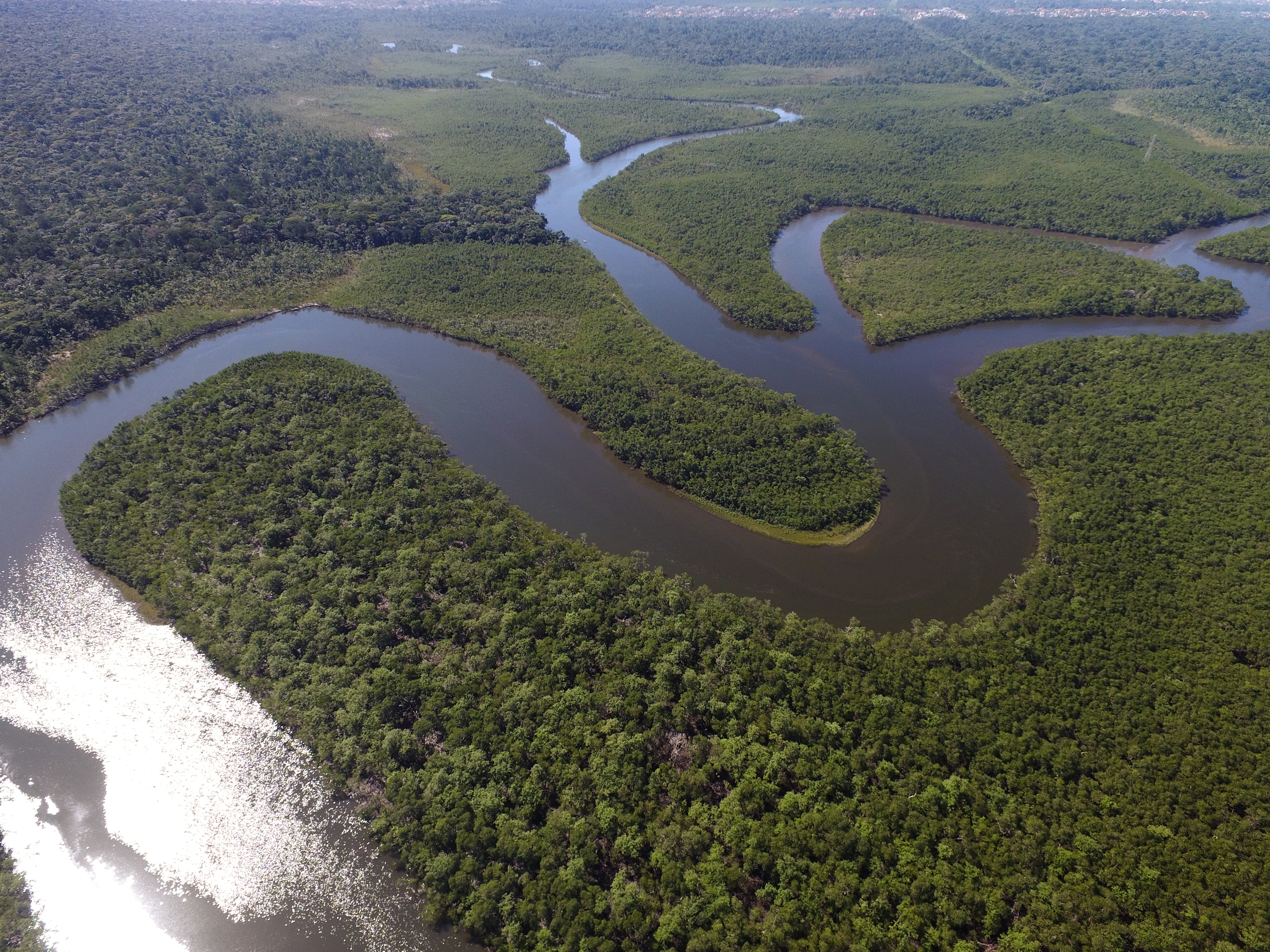 Avenir commun durable deuxième année : découvrez le programme !