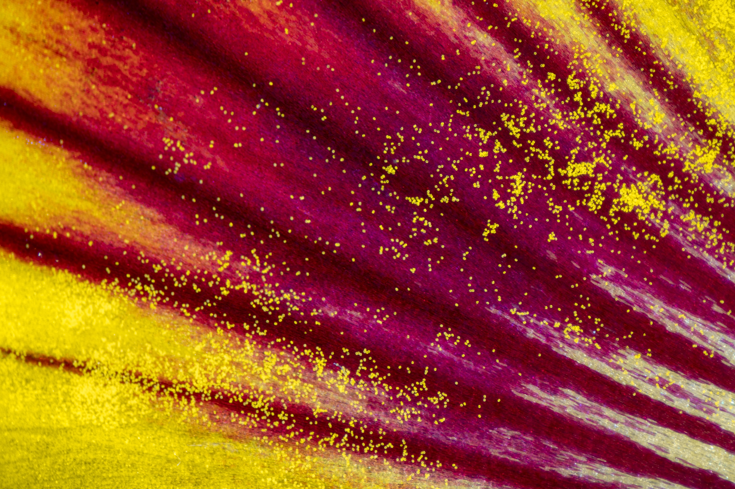 Découvrez le rapport d’activité 2024 de la Fondation