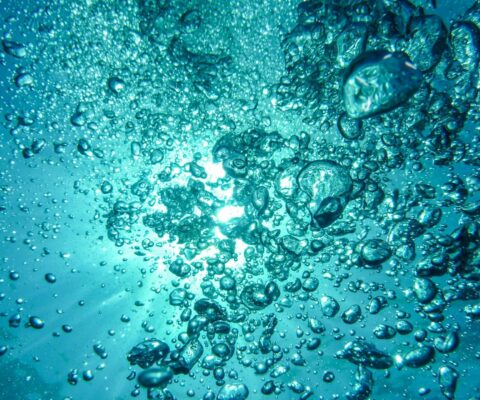 Polluants éternels et microplastiques : développer la recherche pour protéger notre santé